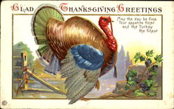 Glad Thanksgiving Greetings Postcard