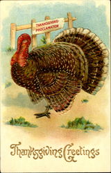 Thanksgiving Greetings Postcard