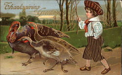 Thanksgiving Greetings Postcard