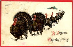 A Joyous Thanksgiving Postcard