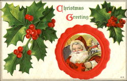 Christmas Greeting Santa Claus Postcard Postcard