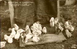 To Greet You At Eastertide Postcard