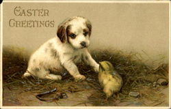 Easter Greetings With Chicks Postcard Postcard