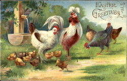 Easter Greetings With Chicks Postcard Postcard