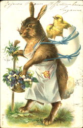 Dressed Bunny with Chicks Postcard