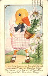 Dressed Duck Postcard Postcard