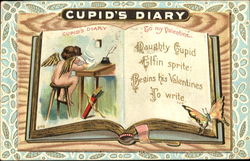 Cupid's Diary Postcard