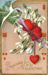 Greetings For My Valentine Postcard