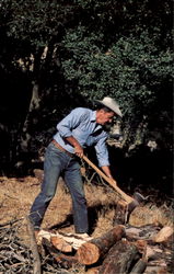 Ronald Reagan Likes To Relax By Chopping Wood Postcard Postcard