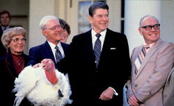 Presidential Turkey Pardon Ronald Reagan Postcard Postcard