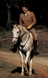 President Reagan Rides High In The Saddle Postcard