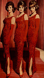 Singing Trio Postcard