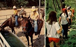 Camp Bette Perot At Beaver Creek Ranch Postcard