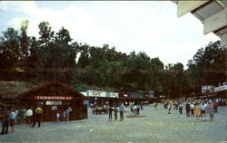 Main Street In, Cumberland Falls State Park Corbin, KY Postcard Postcard