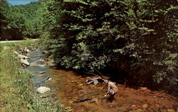 Angling In The Smokies North Carolina Fishing Postcard Postcard