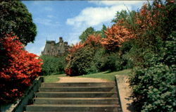 Biltmore House And Gardens Asheville, NC Postcard Postcard