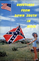 Greetings From Down South In Dixie Flags Postcard Postcard