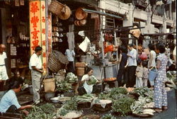 Typical Market Scene Singapore Southeast Asia Postcard Postcard