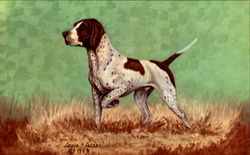 The Pointer Postcard