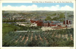 Bird's-Eye View Of Waynesboro Va. And Du Pont Rayon Co. Postcard