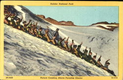 Rainier National Park Mount Rainier National Park Postcard Postcard