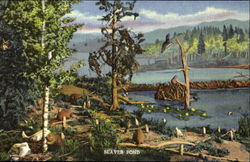 Beaver Pond, E. 14th and Sherman Street Denver, CO Postcard Postcard