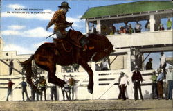 Bucking Broncho Wyoming Rodeos Postcard Postcard