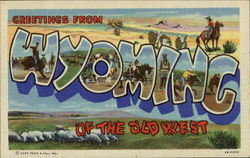 Greetings From Wyoming Postcard