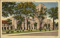 Payne Whitney Gymnasium, Yale University New Haven, CT Postcard Postcard