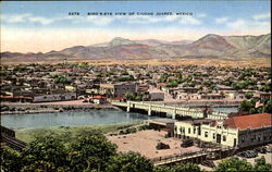 Bird's Eye View Of Ciudad Juarez Postcard