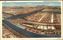 Union Stock Yards Chicago, IL Postcard Postcard