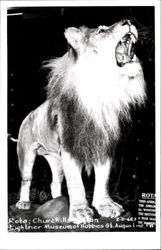 Rota Churchill's Lion Postcard