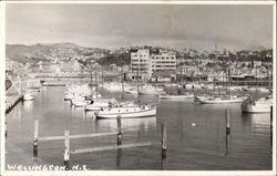 Wellington New Zealand Postcard Postcard