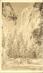 El Capitan, Yosemite National Park Postcard