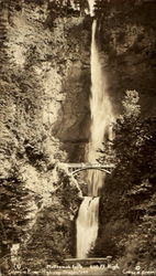 Multnomah Falls Postcard