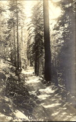 The Road To Huntington Lake Scenic, CA Postcard Postcard