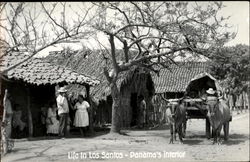 Life In Los Santos Panama Postcard Postcard