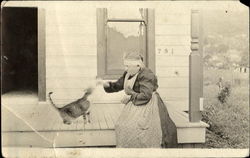 Woman Feeding Cat Postcard