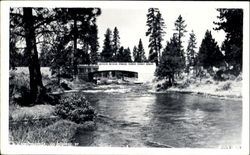 Spring Creek On Highway 97 Scenic, OR Postcard Postcard