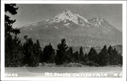 Mt. Shasta Mount Shasta, CA Postcard Postcard