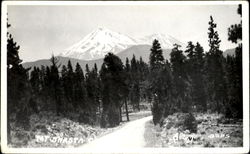 Mt. Shasta Mount Shasta, CA Postcard Postcard