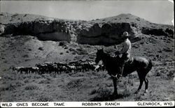 Wild Ones Become Tame Glenrock, WY Postcard Postcard