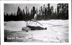 Yukon Mosquito Exaggeration Postcard Postcard