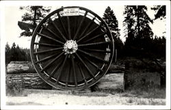 Big Wheel Log Hauler Postcard