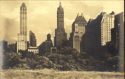 Central Park Postcard