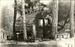 Rest Room Built in a Log Redwood Highway, CA Postcard Postcard