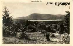 Speculator Postcard