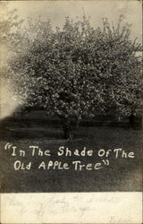 In The Shade Of The Old Apple Tree Postcard