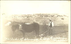 Method Of Plowing Malta Farming Postcard Postcard