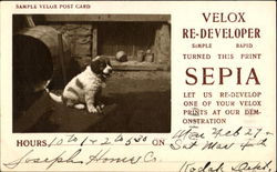 Velox Sample Photo Post Card Postcard